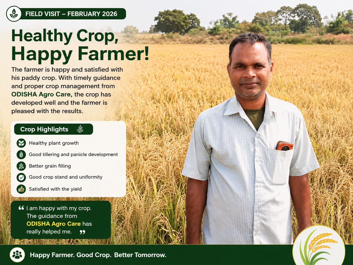 Successful Paddy Crop