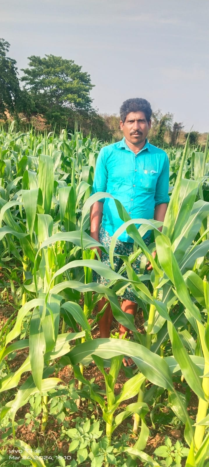 Successful Field Visit – Crop Development, Disease Management & High-Yield Farming